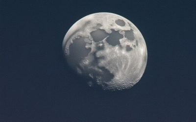 image 95